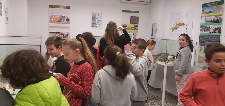 18 de Enero 2018. Visita alumnos CEIP Pablo Freire al Aula museo de geologia (Málaga)