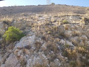 Coluviones calizos antiguos e inestables fosilizados por arenas y limos Pliocenos. Acceso a Pinares de San Antón