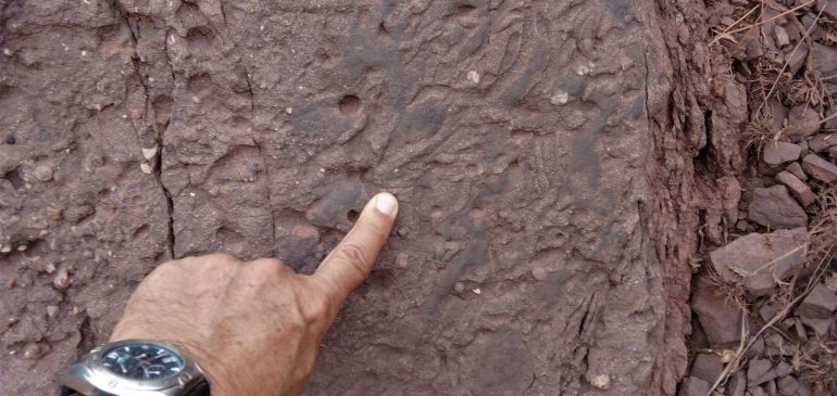26 de Noviembre 2022. Pistas fósiles (trace fossils) en areniscas conglomeráticas del Permotrias maláguide. Aula museo de geología Málaga