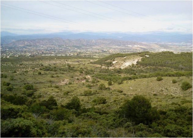 Llanos de la Plata vista Sierra Mijas
