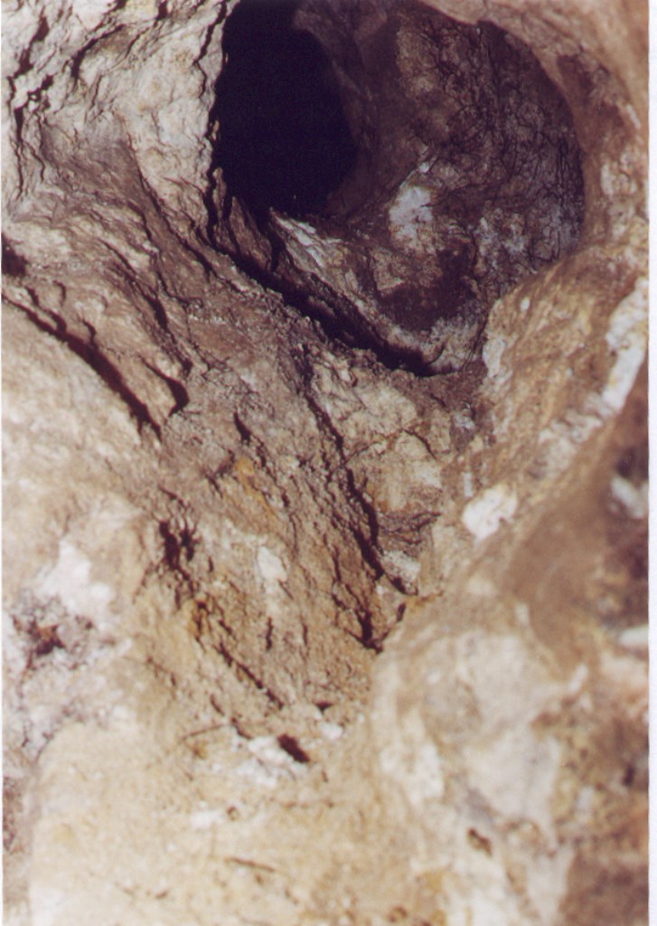 Arenas mineralizadas  con scheelita, bismutita y joseita en Atanor in situ. Interior galeria