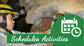 Schedules Activities